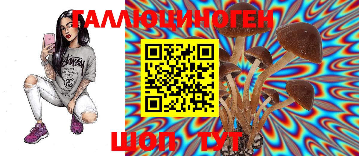 Комсомольск-на-Амуре  цена   Вход с VPN  Псилоцибиновые грибы Psilocybine cubensis 